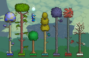T1.2tree