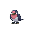 Taillow_XY.png