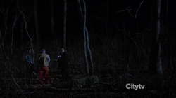 2x22 - Woods