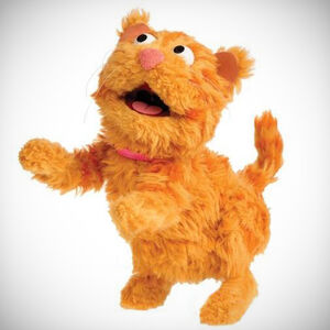 Shalome Sesame Cat