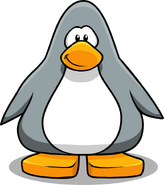 Grey Penguin2223
