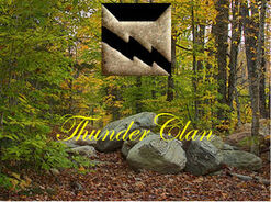 ThunderClan by Spottedmask022