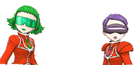VS Caléndula y Begonia
