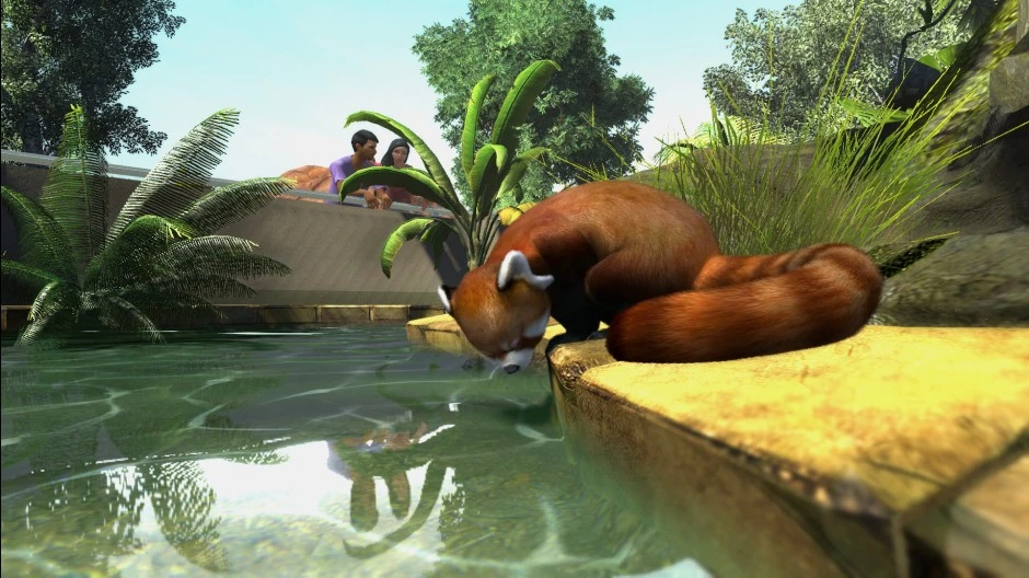 Red Panda The Zoo Tycoon Wiki Zoo Tycoon, Zoo Tycoon 2, cheats, and