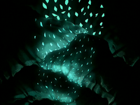 Cave light