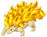 Firehedge02-hd