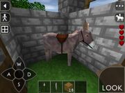 Saddled donkey