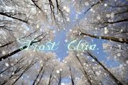 FrostForest
