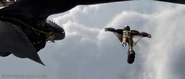 Dragons4