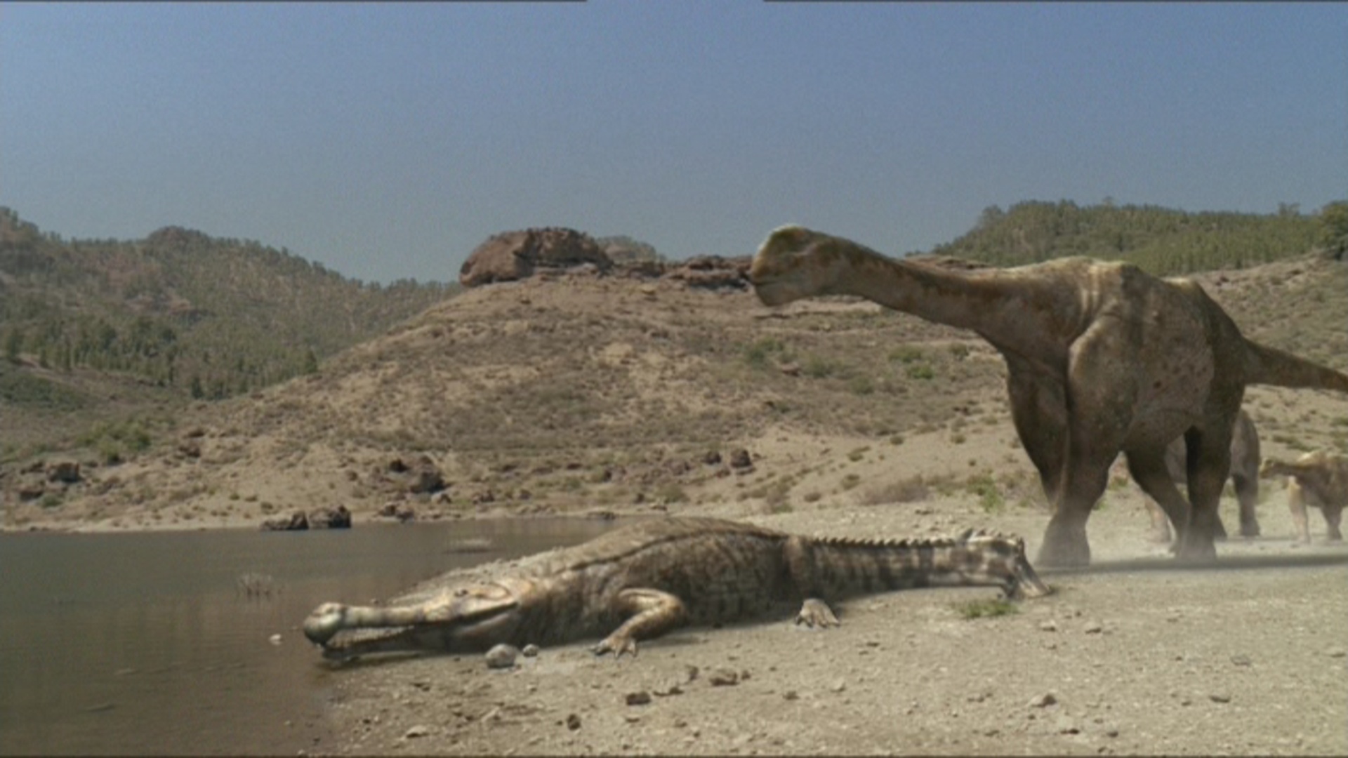 sarcosuchus dinosaur