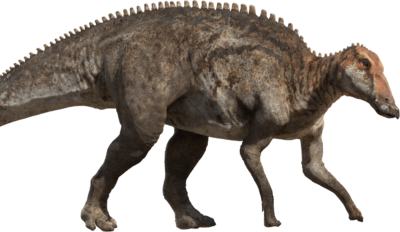 jwe edmontosaurus