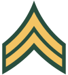 US Army Ranks - Military Wiki