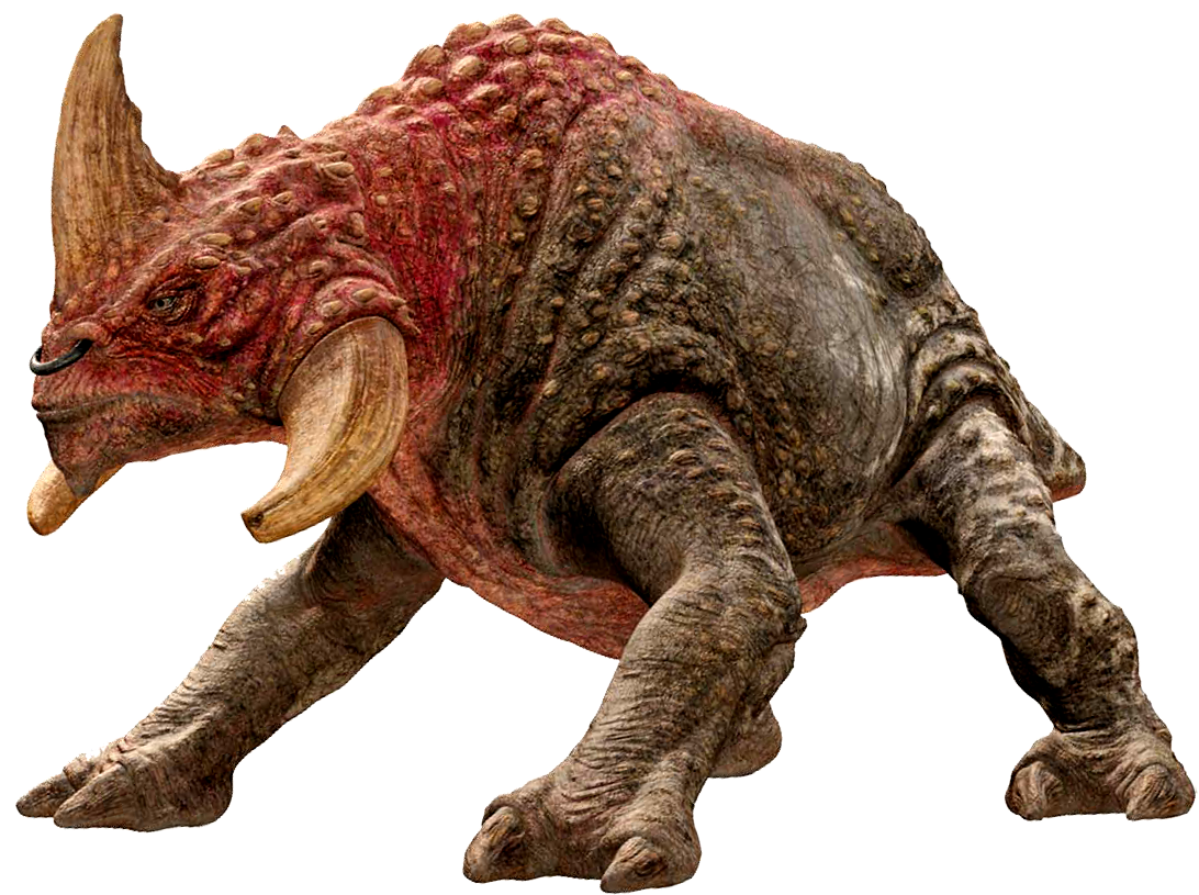 Opee sea killer wookieepedia the star wars wiki