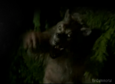 Image - Bad-Moon-werewolves.png - The Twilight Fanon Wiki